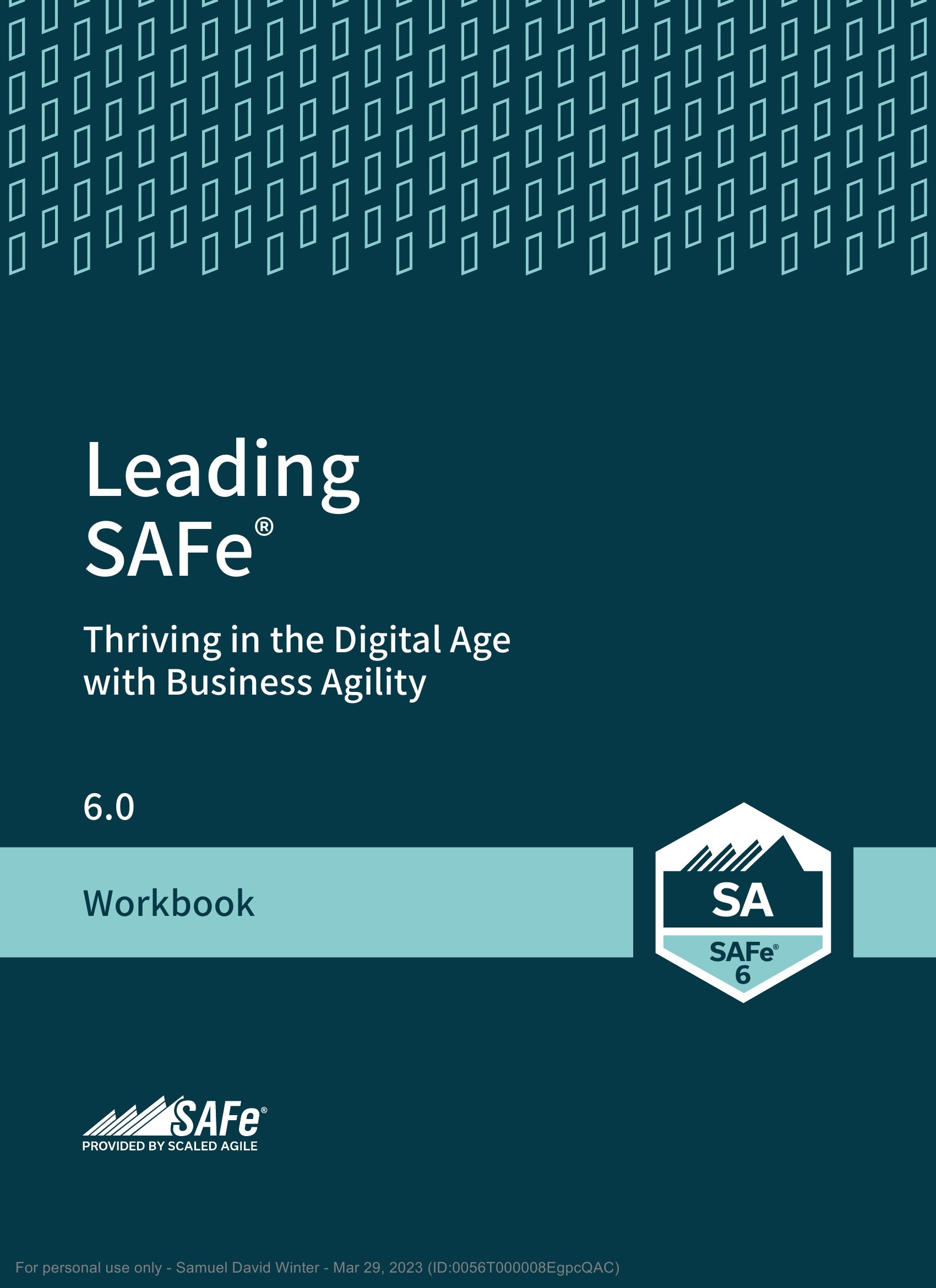 Leading SAFe官方教材：《Leading SAFe Digital Workbook》及知识体系介绍 -- 第2张