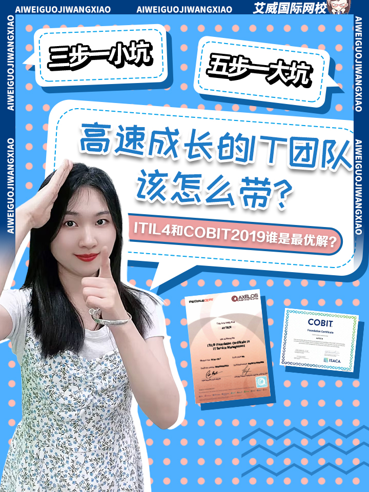 三步一小坑五步一大坑， 高速成长的IT团队该怎么带？ ITIL4和COBIT2019谁是_优解？