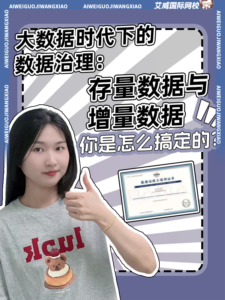 大数据时代下的数据治理:存量数据与增量数据你是怎么搞定的?