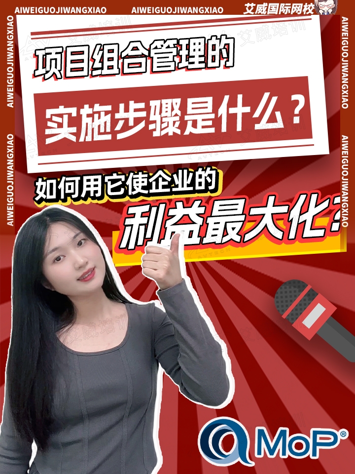 项目组合管理的实施步骤是什么?如何用它使企业的利益_大化?