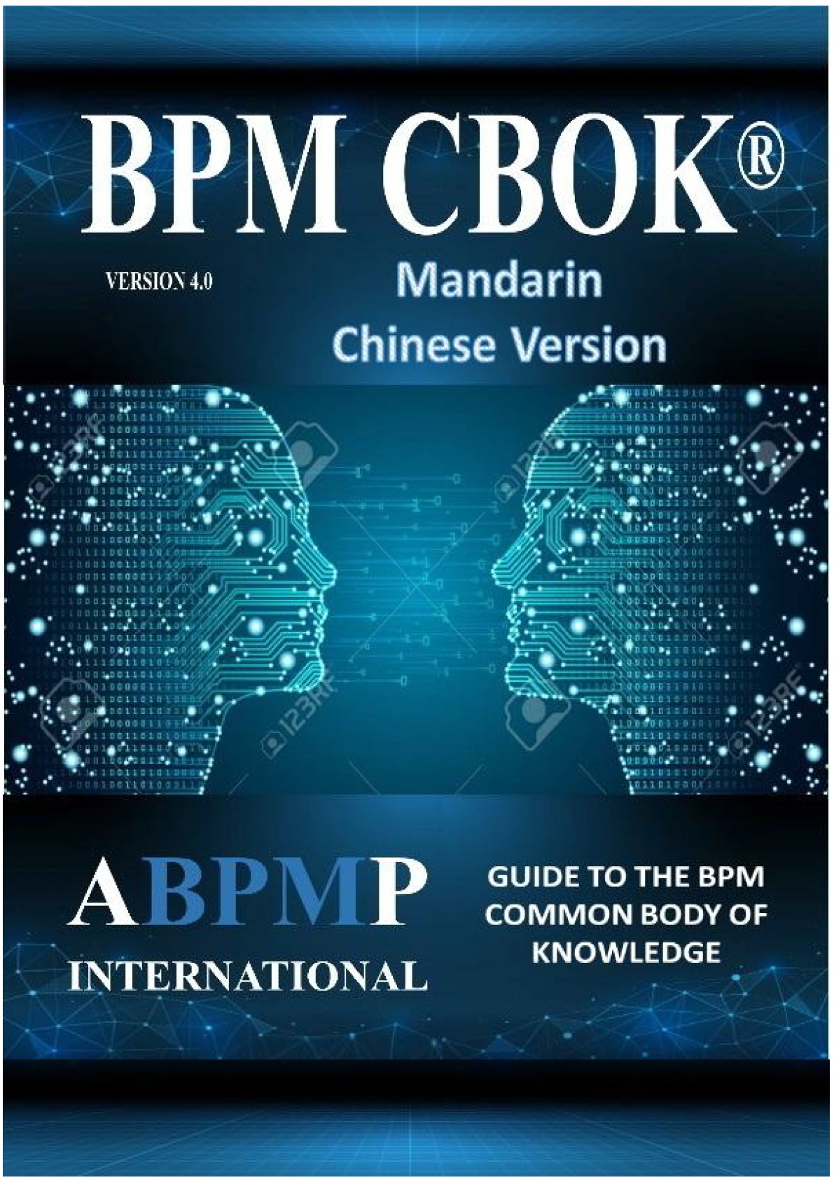 好消息！《BPM CBOK指南》中文版出炉！学习流程管理要变得容易多了！缩略图