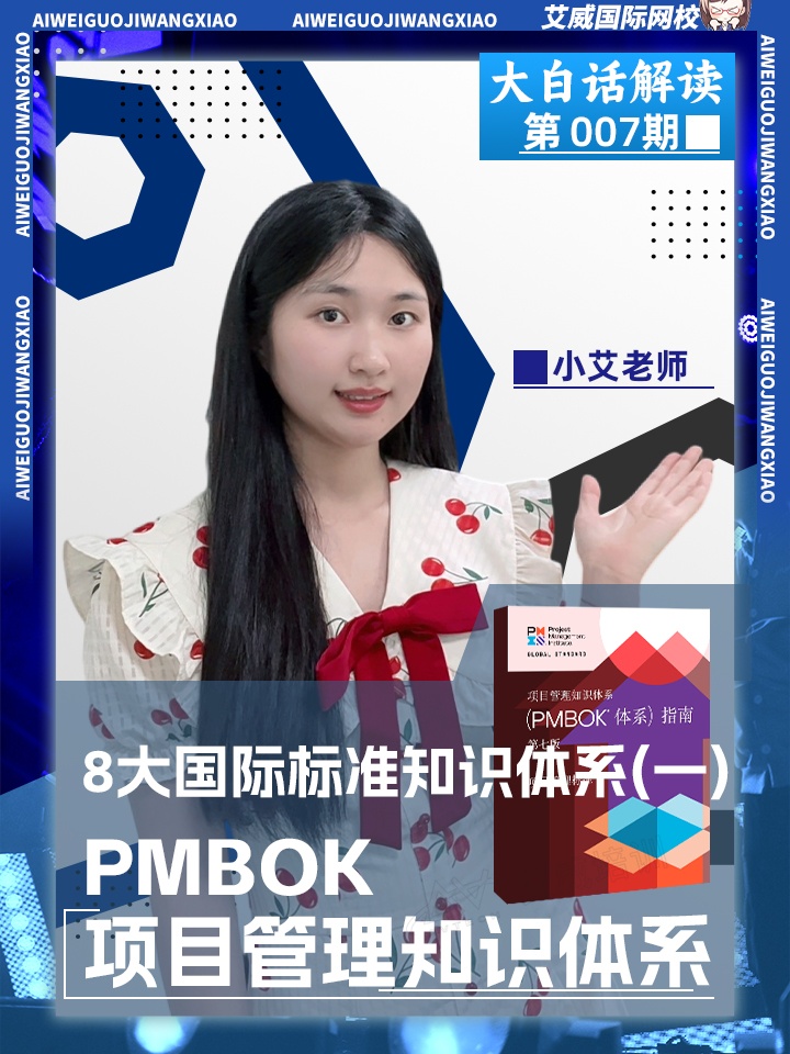 大白话解读_期：8大国际标准知识体系之PMBOK项目管理知识体系缩略图